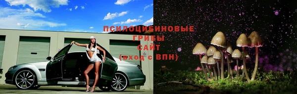 эйфоретик Абаза