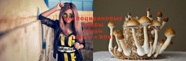 мяу мяу мука Алзамай