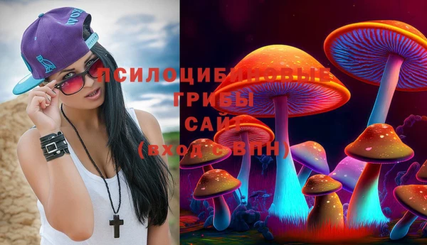 мяу мяу мука Алзамай