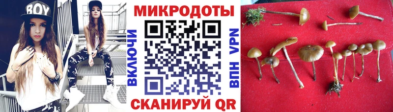 Псилоцибиновые грибы Psilocybine cubensis  Гаврилов Посад 
